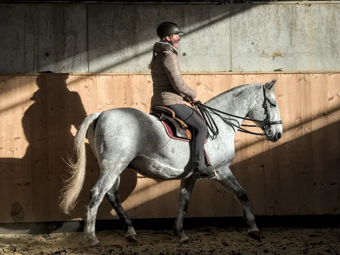 Jezdectví podle principů The Academic Art of Riding o z velké části o technice, jejíž velkou součástí je pocit.